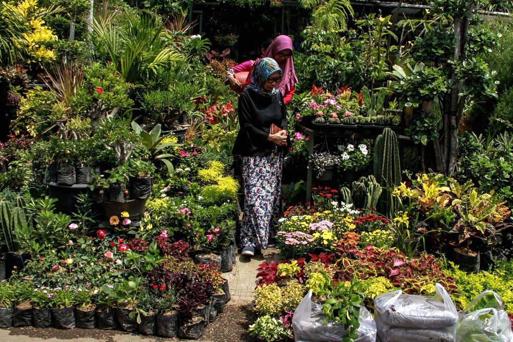 PASAR BUNGA "SPLENDID" MALANG